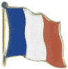 France Flag lapel pin