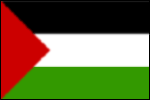large Palestine flag